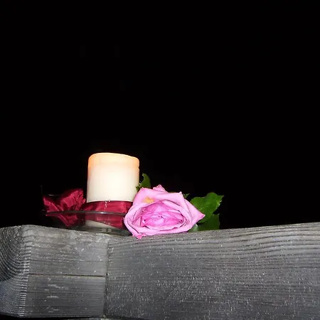 瑞福吉奥蒙蒂帕里蒂宾馆 宾馆 2*