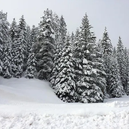 Rifugio Monti Pallidi 2*