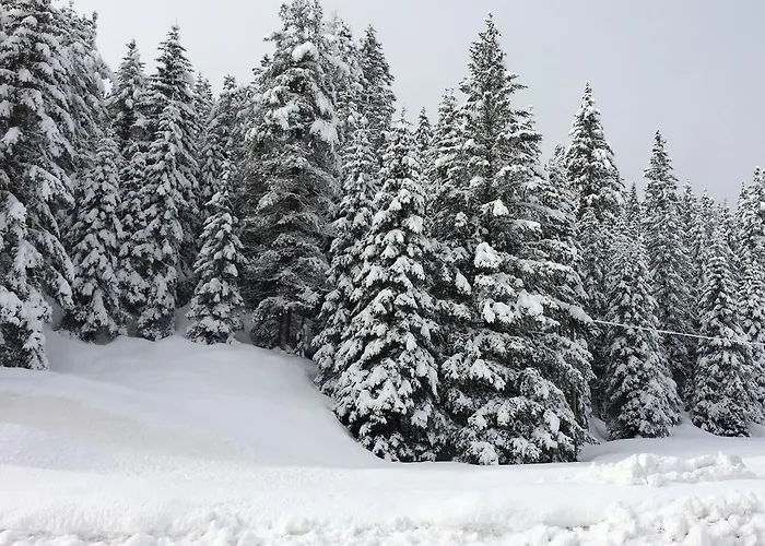 Rifugio Monti Pallidi 2*